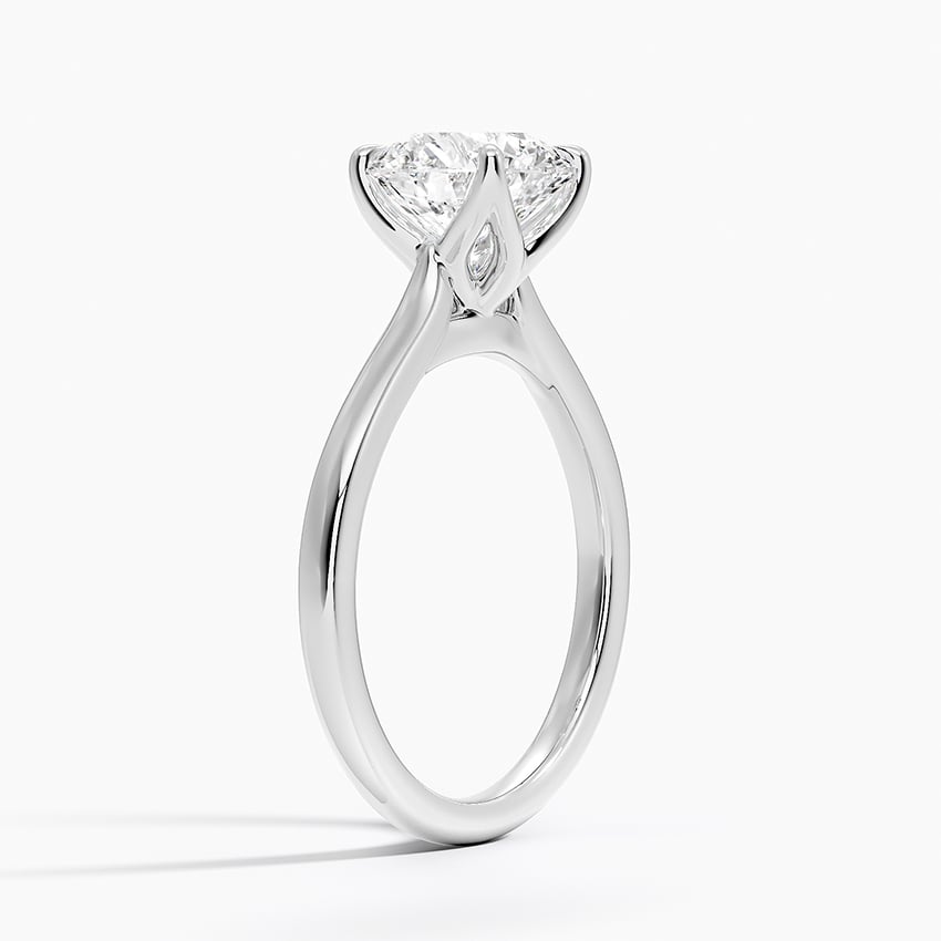 Elodie Cathedral Solitaire Engagement Ring
