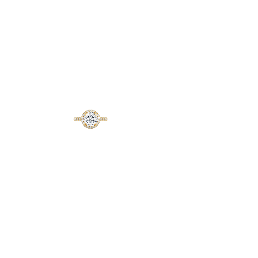 Sienna Halo Three-Quarter Coverage Diamond Engagement Ring
