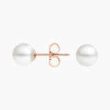 Premium Akoya Cultured Pearl Stud Earrings (6mm) in rose gold