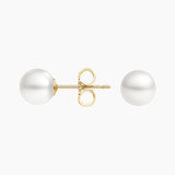 Premium Akoya Cultured Pearl Stud Earrings (6mm) in yellow gold