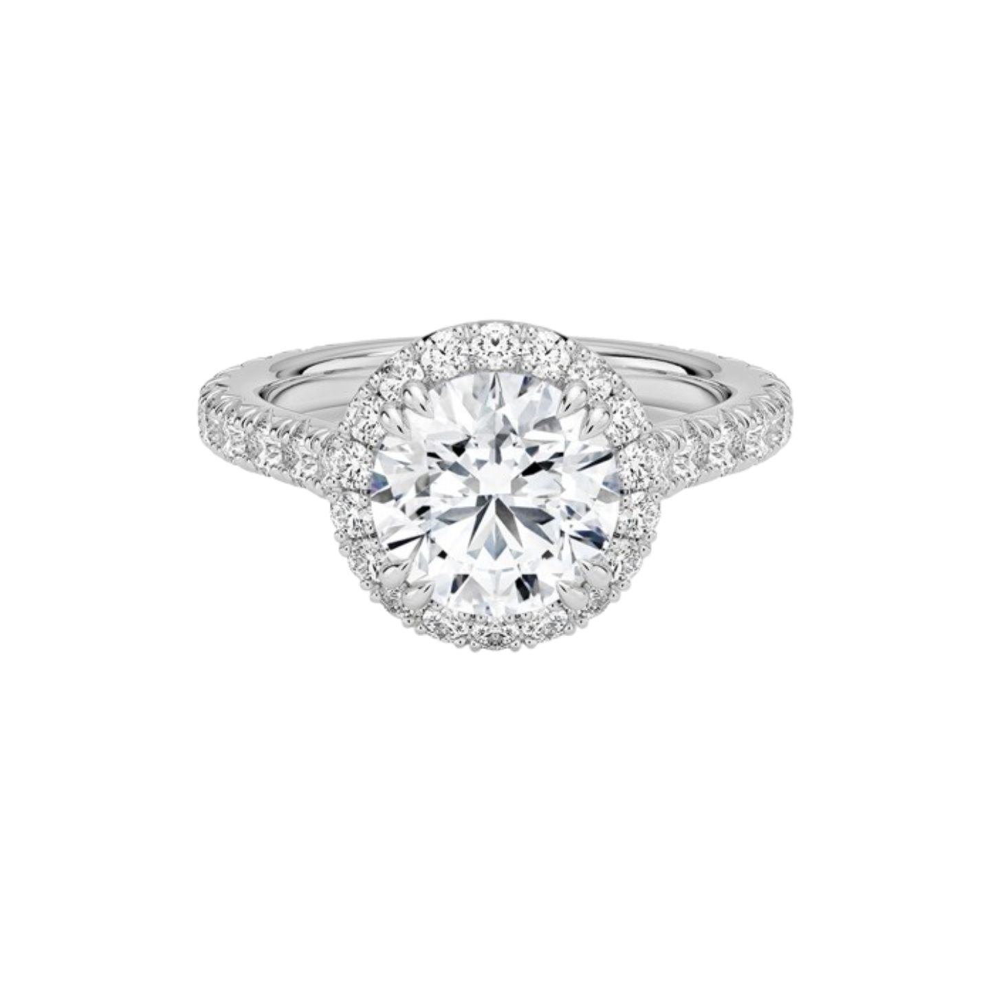Sienna Halo Three-Quarter Coverage Diamond Engagement Ring