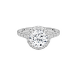 Sienna Halo Three-Quarter Coverage Diamond Engagement Ring